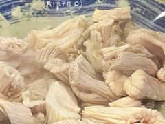 羊肚仁-金生隆(六铺炕店)