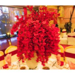 -先锋国际宴会中心(先锋国际广场店)