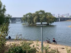 -长白岛森林公园