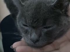 -畜牧兽医站(共江路店)