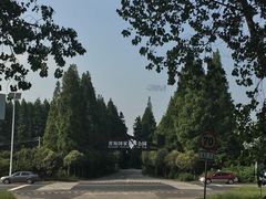 -黄海国家森林公园