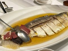 陈年花雕蒸鲥鱼-福1088