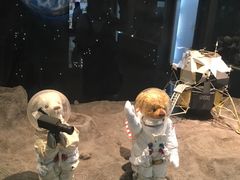 -济州岛泰迪熊博物馆