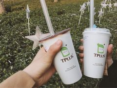 乌龙玛奇朵-TPLUS茶家(淮海店)