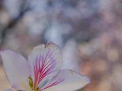 -南丰汇(新港东路店)