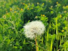 -汉长安城未央宫国家考古遗址公园