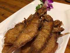 -金穗园·砂锅粥.醉鸡煲火锅(长寿路店)