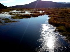 景点-腾冲北海湿地