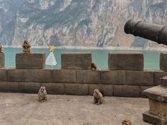 -白帝城·瞿塘峡景区