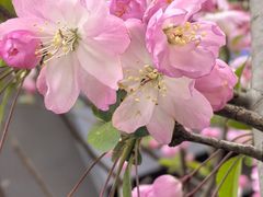 -龙湖冠寓(上海闵行星悦荟店)