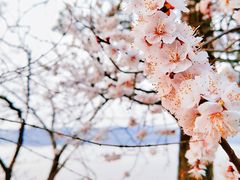 -棋盘山风景区