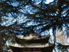 -西安博物院