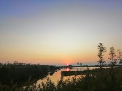 -芒洲湿地公园