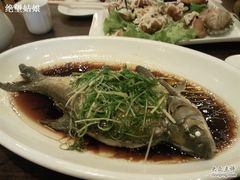清蒸武昌鱼-旺角欢乐融合餐厅(花园店)