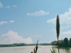 -沙家浜风景区