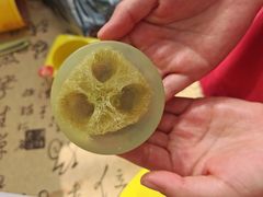 -北戴河集发农业梦想王国