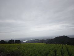 -五凤溪古镇