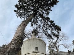 -潭柘寺景区