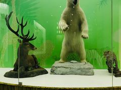 -国家自然博物馆