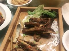 -丰收日(五角场店)