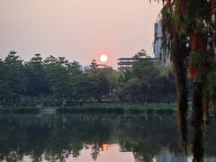 -飞来湖湿地公园