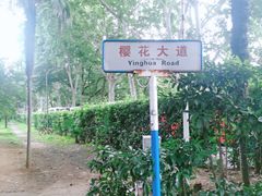 -武汉大学-樱园