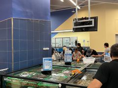 -盒马X会员店(王府井奥莱UP TOWN店)