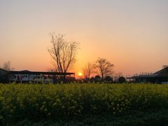 -田园东方蜜桃村的田野营地