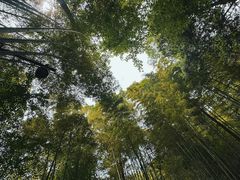 -敬亭山风景名胜区