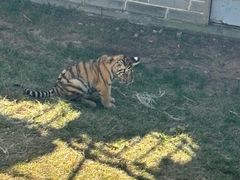 -西霞口神雕山野生动物世界