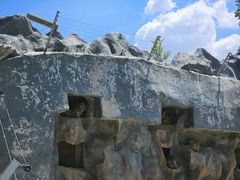 -青藏高原野生动物园