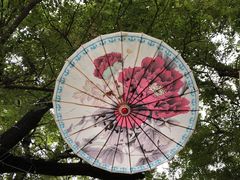 -西安汉城湖景区