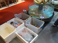 -强记海鲜·大排档(蛇口新街店)