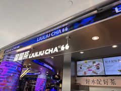 -TD66高山铁皮石斛养生茶饮