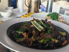 -凯鸽酒楼(大同振兴街店)