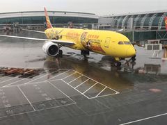 -海南海航航空信息系统公司