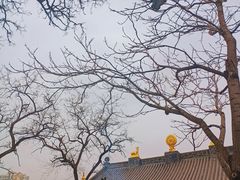 -护国法轮寺