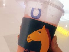 -春丽小马(济南恒隆广场店)
