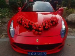 -蚂蚁婚车