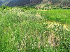 -泸沽湖国家级风景名胜区走婚桥