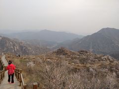 -大岭沟猕猴桃谷风景区