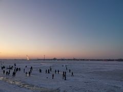 -人民防洪胜利纪念塔