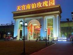 -天宫南铂玫瑰园酒店