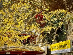 -大慈岩风景区
