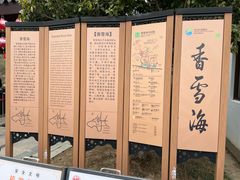 -香雪海