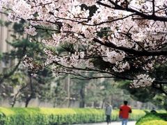 -中国海洋大学（崂山校区）-游泳馆