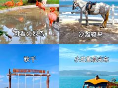 -三亚蜈支洲岛旅游区