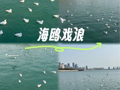 -琴岛之星摩天轮