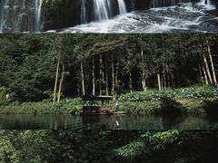 -龙苍沟森林公园