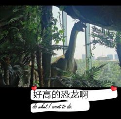 -恐龙探索乐园(磁器口店)